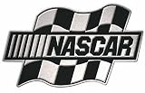PlastiColor 2229 NASCAR Checkered Flag Brushed Aluminum Hitch Plug