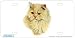 Cream Persian Cat Art Print - License Plate Tag By Robert J. May From Airstrike