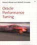 Oracle Performance Tuning (Kaleidoscope)