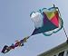 Kite House Flag