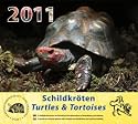 Schildkr&ouml;ten 2012