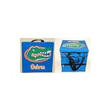 Florida Gators NCAA 5 Pocket Seat Cushion And Tote