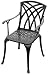 Outdoor Living : Denewood CFC005BL Versailles Black Cast Aluminum Chair with arms, Set of 2