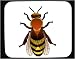 Decorated Mouse Pad with honey, social, insect, pollination, pollinator, honeybee, in...