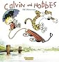 Calvin und Hobbes, Band 1: Calvin und Hobbes: BD 1