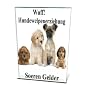 Hundewelpenerziehung - Wie Sie Ihren Welpen richtig erziehen