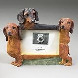 Dachshund Dog Breed 3-D Photo Picture Frame