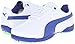 PUMA Titantour V2 Junior Skate Shoe (Little Kid/Big Kid)
