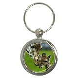 41E5tqRhHNL. SL160  Giraffe Key Chain