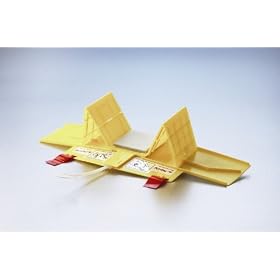 Head Wedge for Secure Immobilization