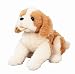 Little Puppy Lost