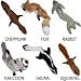 SET OF SIX - Skinneeez Stuffingless Dog Toys