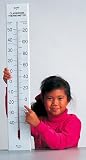 GIANT CLASSROOM THERMOMETER 30T