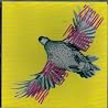 Image of album by Zeena Parkins