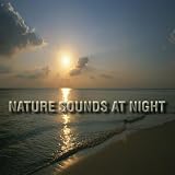 Nature Sounds At Night