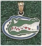 Logo Art Florida Gators 10K Gold w/Enamal Team Logo 1/2 Pendant