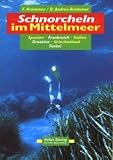 Schnorcheln im Mittelmeer