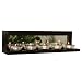 Nexxt by Linea Benton Wall-Mounted/Tabletop 5-Tealight Mirrored Holder, Black Image