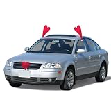 Mystic Industries Valentines Day Vehicle Costume