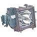 InFocus - Projector lamp - 2000 hour(s) - for C 160  180  Proxima C160  C180  LP 540  640  ScreenPlay 5000  Work Big LP640