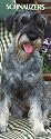 Schnauzers International 2007 Slimline Calendar