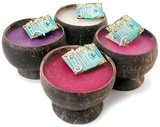 Hawaiian Coconut Shell Candle - Plumeria