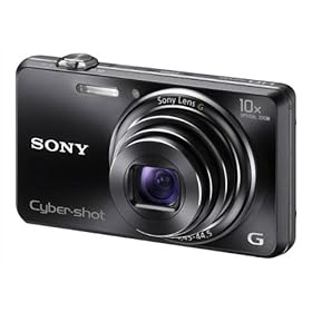 Sony Cyber-shot DSC-WX100 18.2-Megapixel Digital Camera - Black