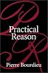 Practical Reason: On the Theory of Action