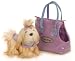 shih tzu - Pucci Pup Purple Star and Shih Tzu