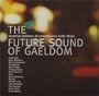 Future Sounds of Gaeldom