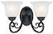 Hardware House 544866 Tuscany 14-Inch by 8-3/4-Inch Bath/Wall Lighting Fixture Textured Black