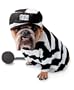 Zelda Prisoner Dog Costume - Pet Costume