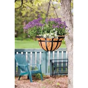 14-Inch Hanging Basket