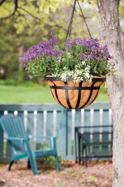 Panacea Products Flat Iron Series 14-Inch Hanging Basket, Black