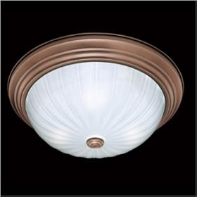 Thomas Lighting - SL8683-14 from Thomas Lighting