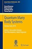 Quantum many body systems