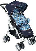 Bumbleride Flyer Stroller - Bwana Limted Edition