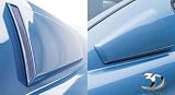 3dCarbon 691018 Quarter Window Scoops
