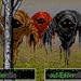 Legacy: The Legend downloadable Software