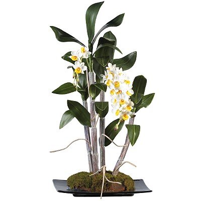 Mini Dendrobium w/Rectangle Dish Silk Flower Arrangement
