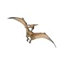 Pteranodon
