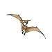 Pteranodon