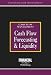 Book Cashflow Forecasting & Liquidity: Cashflow Management (Risk Management Series: Cash Flow Management)