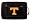 Tennessee Volunteers