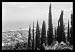 Carmel & Haifa 12x18 Giclee on canvas