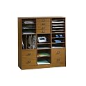 Project Organizer - Caramel Birch