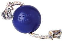 Romp N Roll - 6 in. Blue