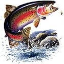 Rainbow Trout Adult T-Shirt