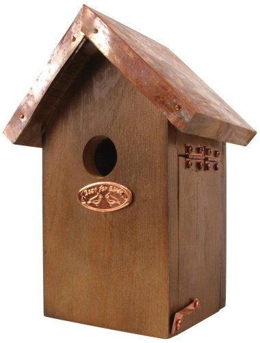 Esschert Design Wren Bird House - Antique Wash with Copper Roof Home 