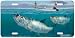 Quicksilver - Tarpon Fish Art Print - License Plate by Randy McGovern from Airstrike,...